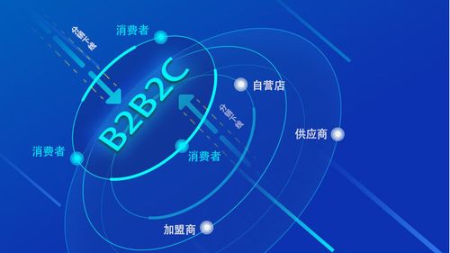 b2b2c五大商城平臺運營模式,你了解哪幾種?